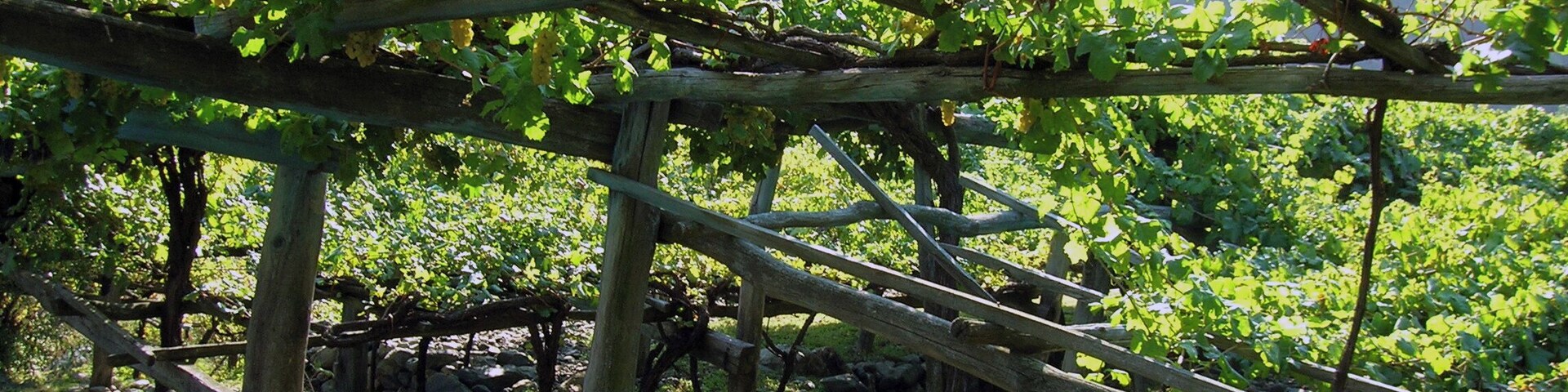 This is a photo of a monument which is part of cultural heritage of Italy. This monument participates in the contest Wiki Loves Monuments Italia 2012. See authorisations.