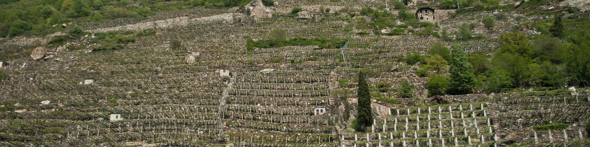 This is a photo of a monument which is part of cultural heritage of Italy. This monument participates in the contest Wiki Loves Monuments Italia 2014. See authorisations.