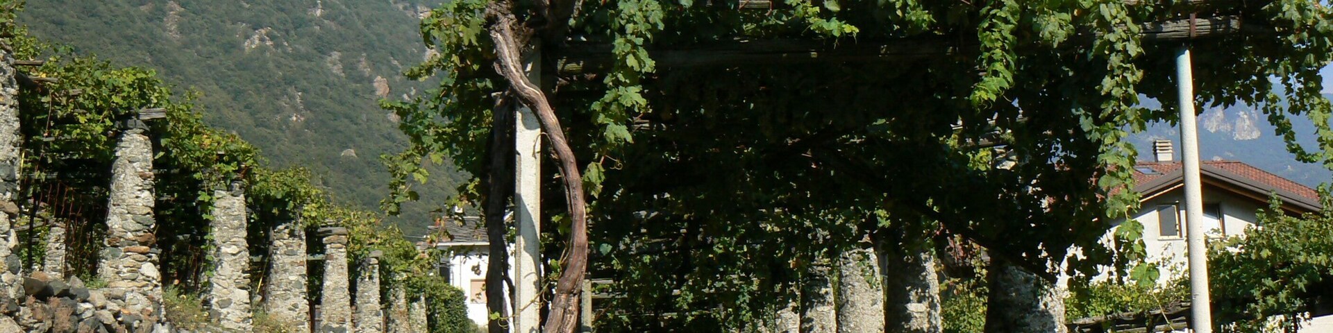 This is a photo of a monument which is part of cultural heritage of Italy. This monument participates in the contest Wiki Loves Monuments Italia 2012. See authorisations.