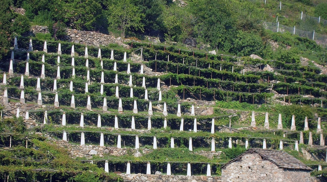 This is a photo of a monument which is part of cultural heritage of Italy. This monument participates in the contest Wiki Loves Monuments Italia 2012. See authorisations.