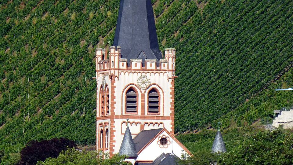 A church with a tall spire surrounded by vineyards.
