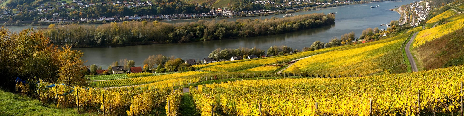 Rheinsteig Panorama bei Lorch im Herbst