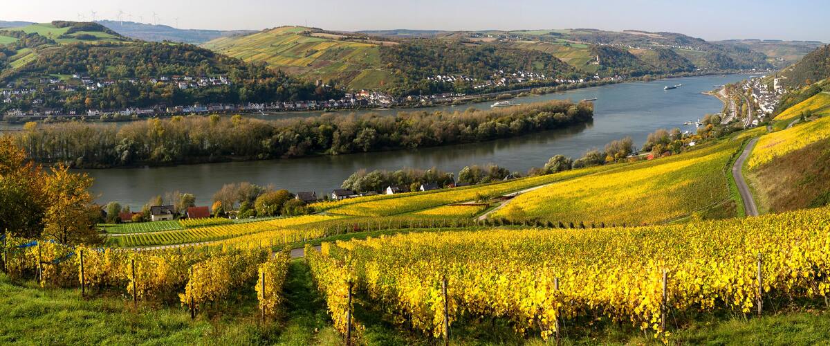 A river valley with vineyards, a town, and wind turbines in the background.
