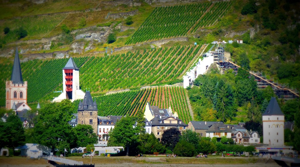 Bacharach