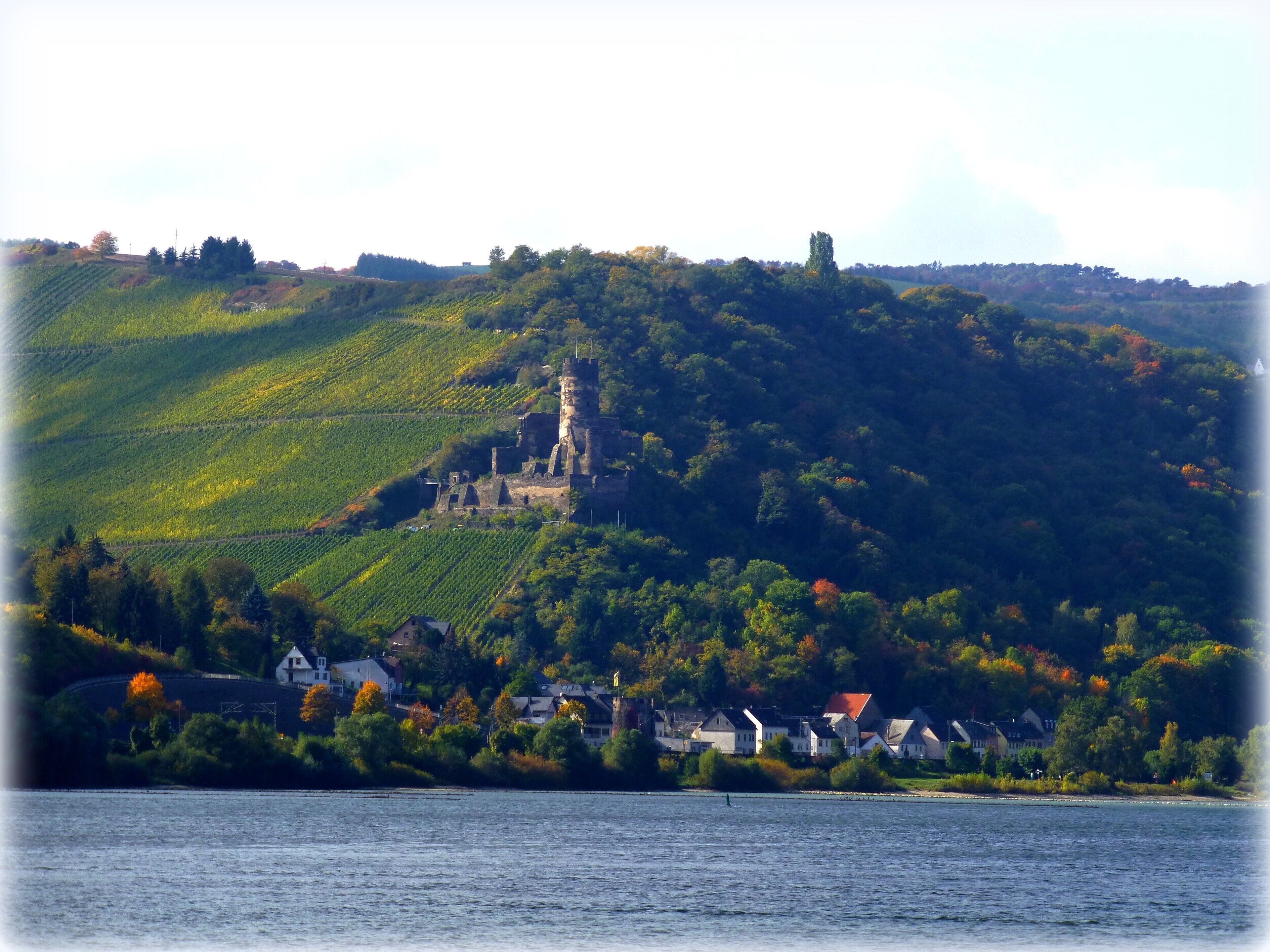 A castle on a hill with vineyards and houses at the base.