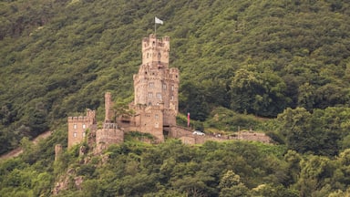 A medieval castle surrounded by dense forest on a hillside.