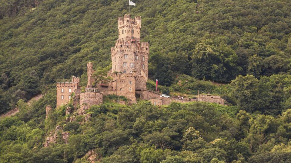A medieval castle surrounded by dense forest on a hillside.