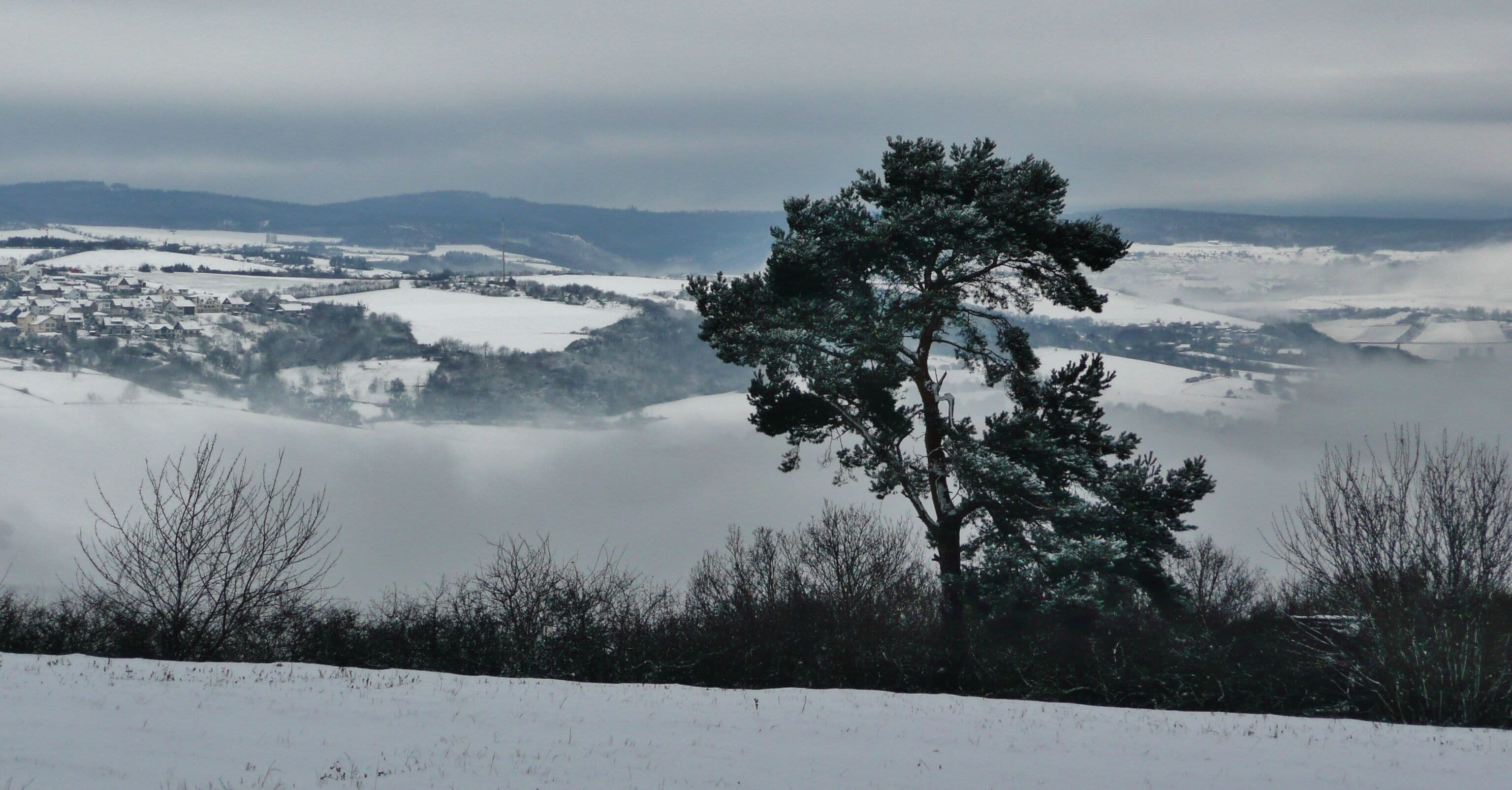 A snow-covered landscape with a prominent evergreen tree in the foreground, rolling hills, and a village in the distance.