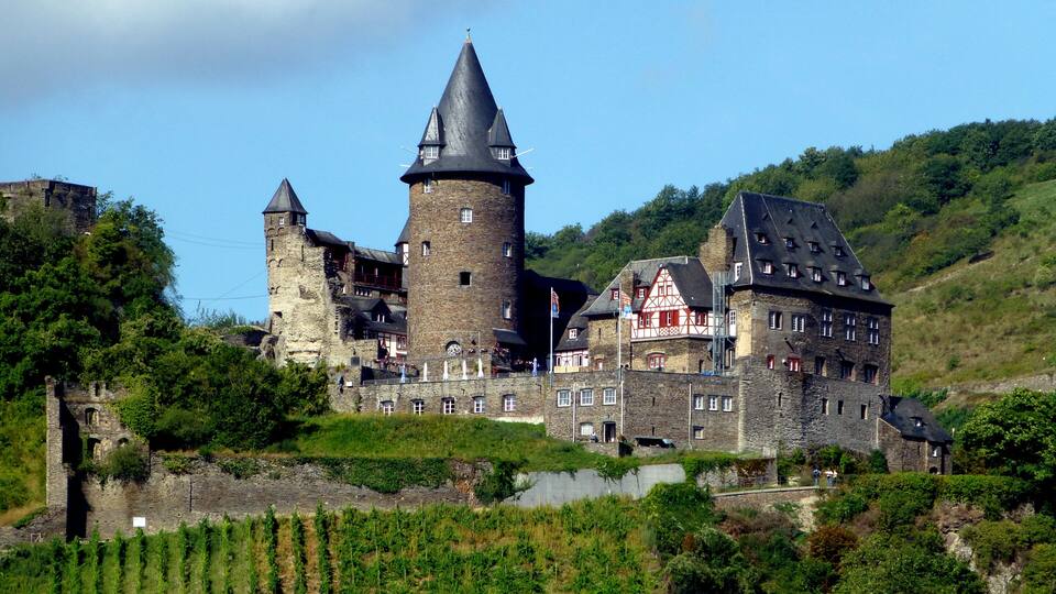 A historic castle with a prominent tower, surrounded by lush greenery and vineyards.