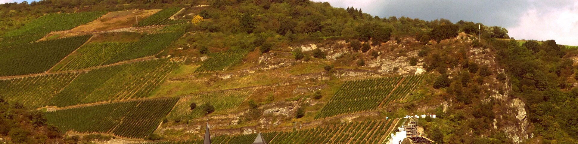 Bacharach von Lorchhausen aus gesehen