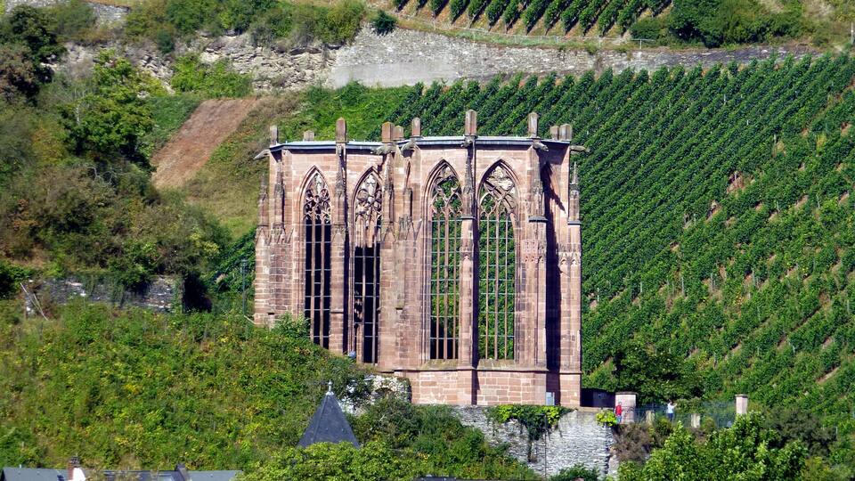 A historic church with Gothic architecture surrounded by vineyards.