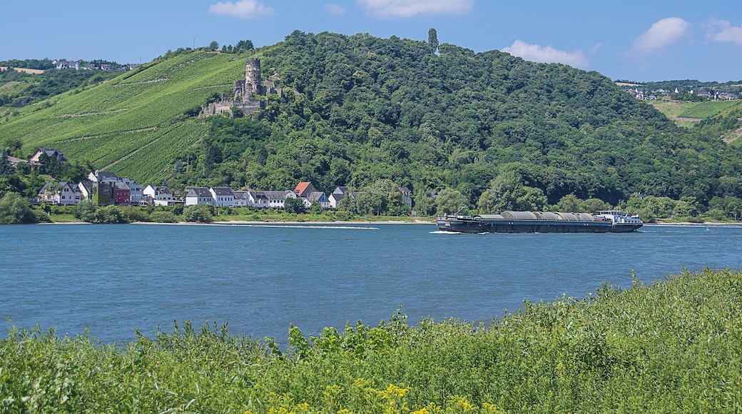 Rheindiebach and the ruins of Fuerstenberg Castle photografed from Lorch (located on River Rhine righthand site)