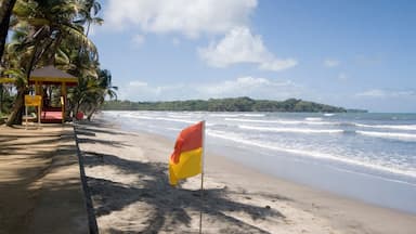 Caribbean - Trinidad - Manzanilla Beach on east (Atlantic Ocean) side of Trinidad.