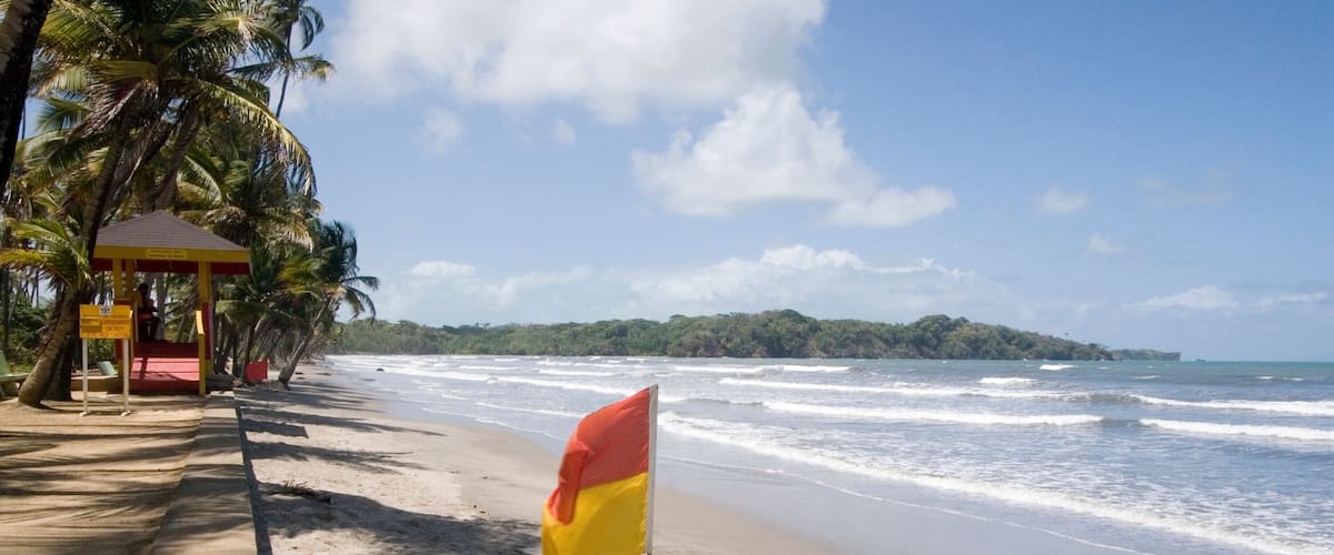 A beach with a flag, palm trees, and a structure on the left.