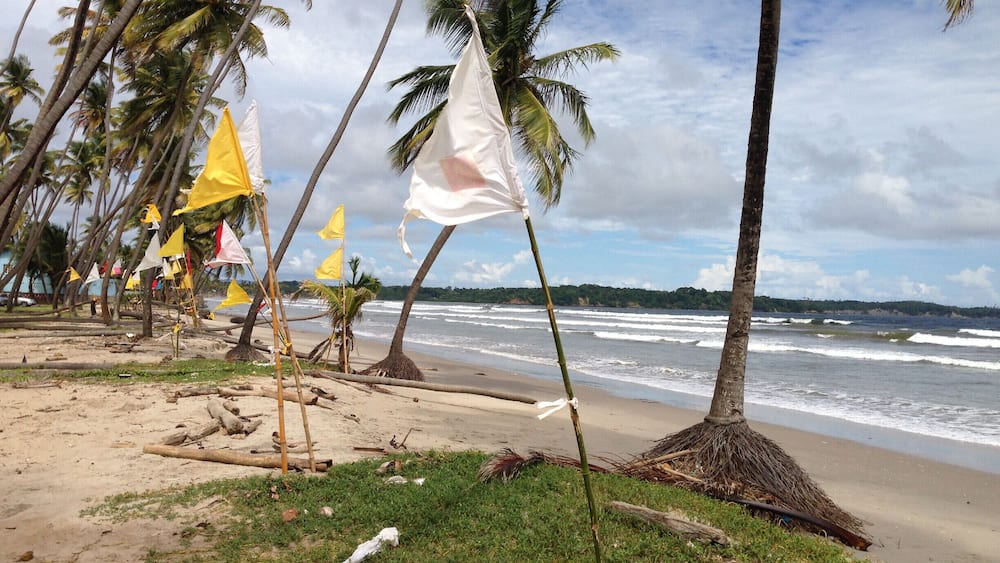 Hindu prayer flags along Manzanilla #Beach Trinidad.
