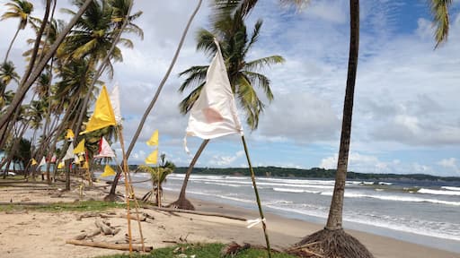 Hindu prayer flags along Manzanilla #Beach Trinidad.