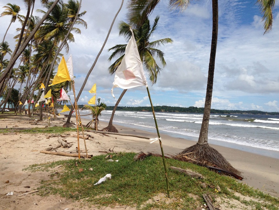 Hindu prayer flags along Manzanilla #Beach Trinidad.