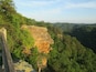 A rocky cliff with dense forest and a wooden fence.