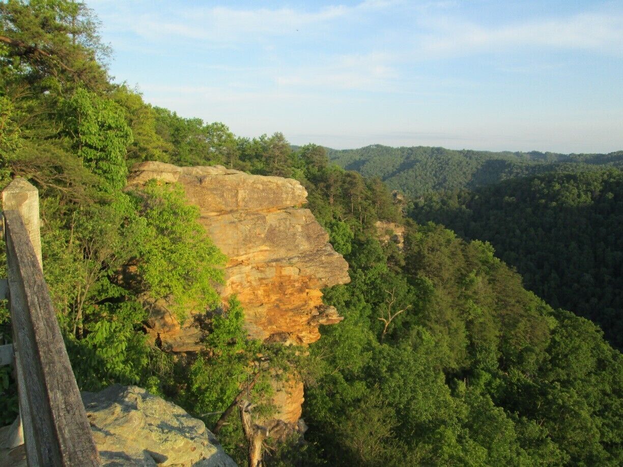 A rocky cliff with dense forest and a wooden fence.