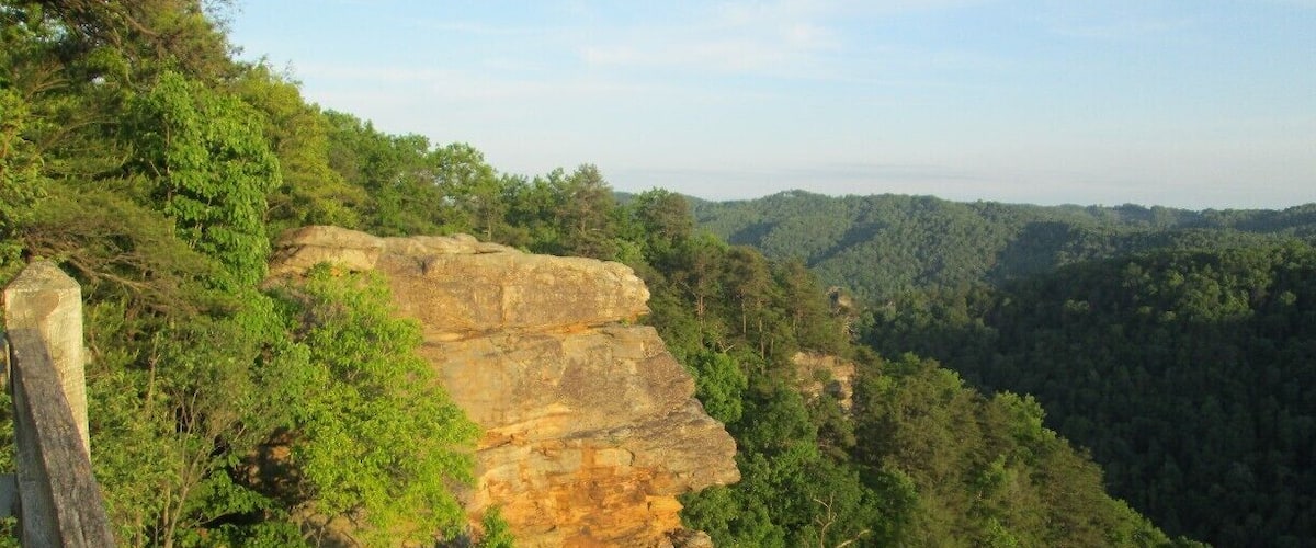 A rocky cliff with dense forest and a wooden fence.