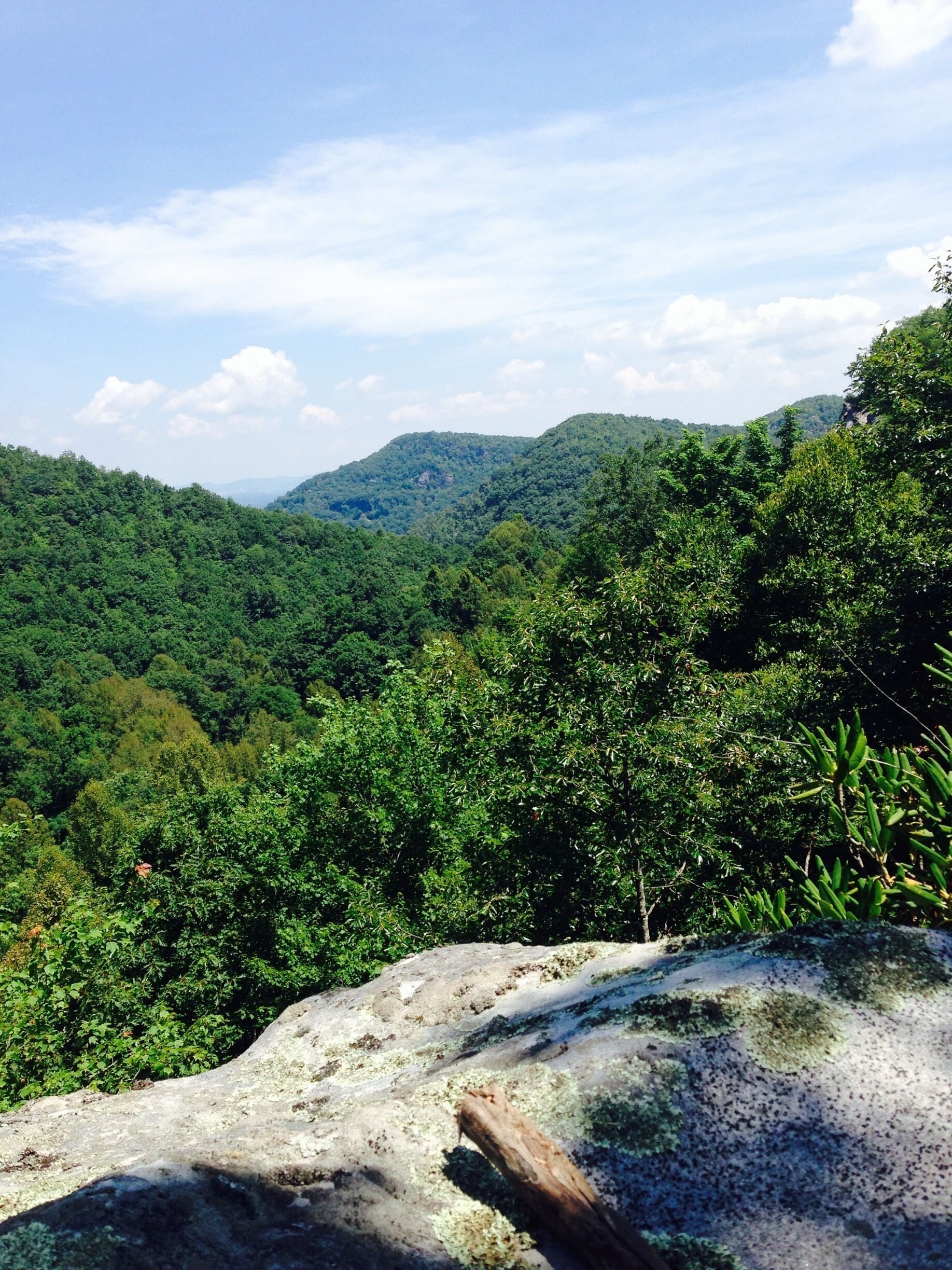 Beautiful views. Huckleberries and blueberries everywhere in July! 