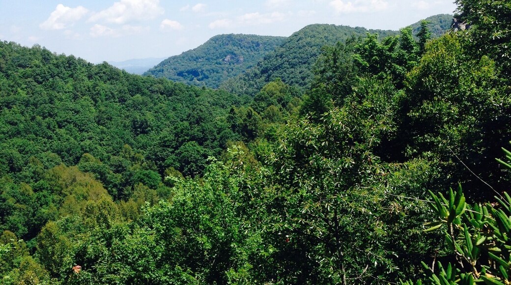 Beautiful views. Huckleberries and blueberries everywhere in July!