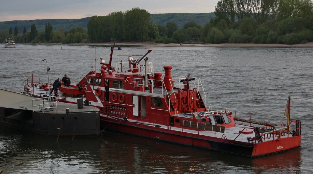 Rhein in Flammen 2010