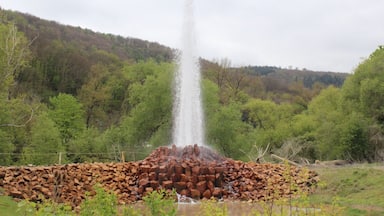 Highest cold water geysir of the world - who would have expected this in Germany? 😆 great spot to check out!