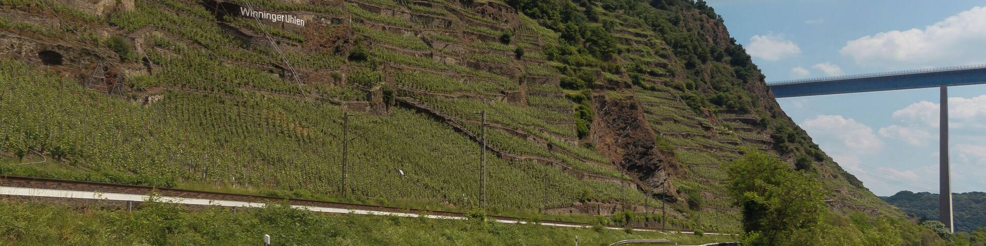 between Dieblich and Winningen, bridge: die Moseltalbrücke
