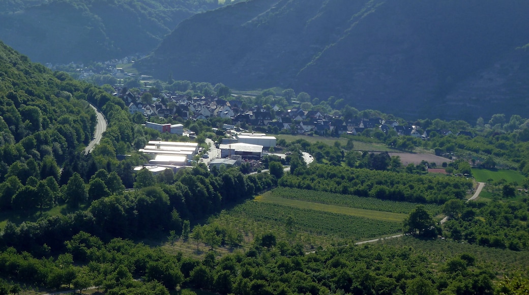 Dieblich im Moseltal