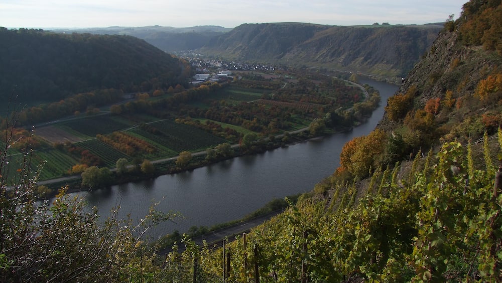 A river winding through a valley with vineyards on the right and a town in the distance.