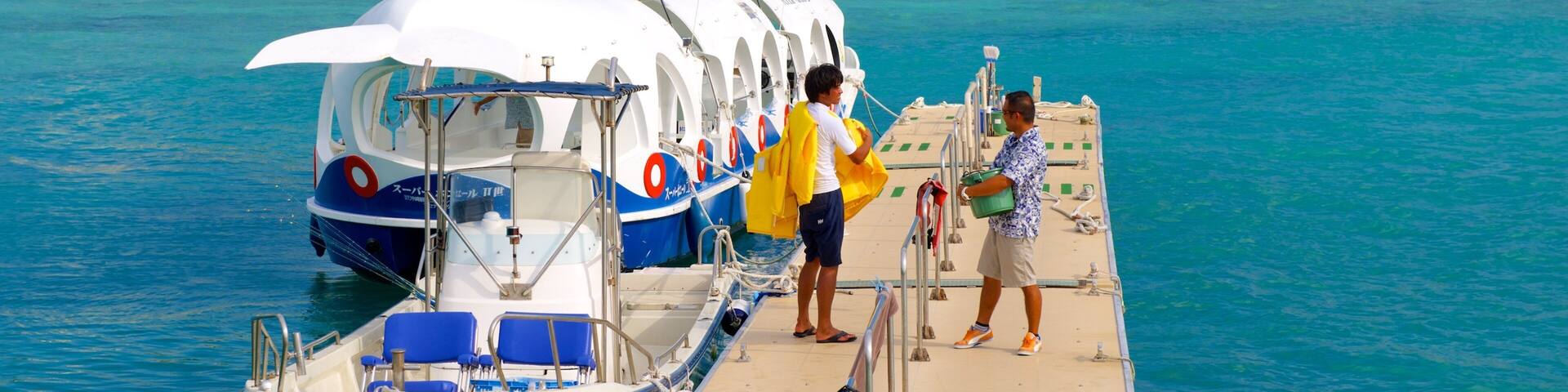ブセナ海中公園 表示 砂浜