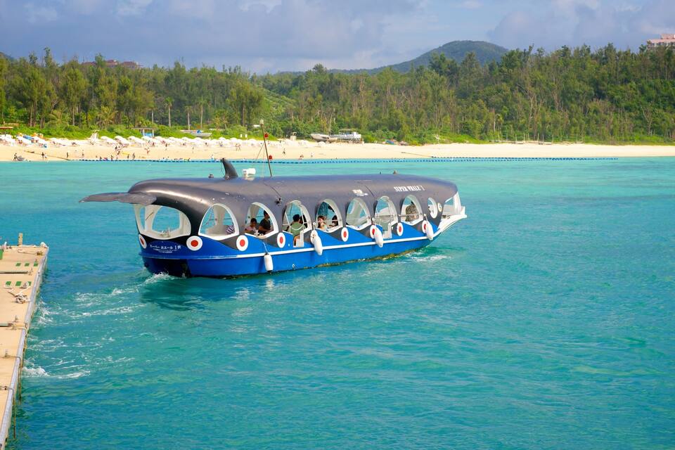 A blue and white boat with passengers, moving through turquoise waters near a beach with white sand and green trees.