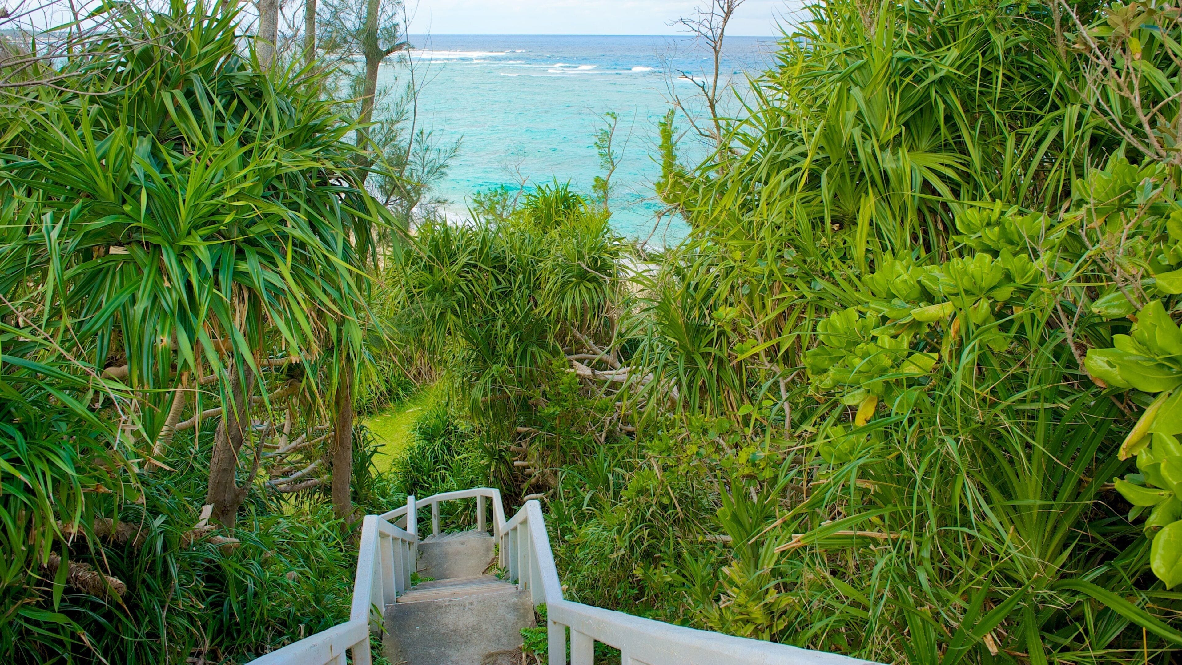 Mission Beach showing tropical scenes and general coastal views