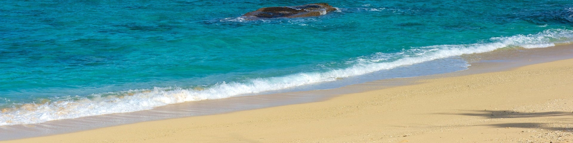 Mission Beach showing landscape views and a beach