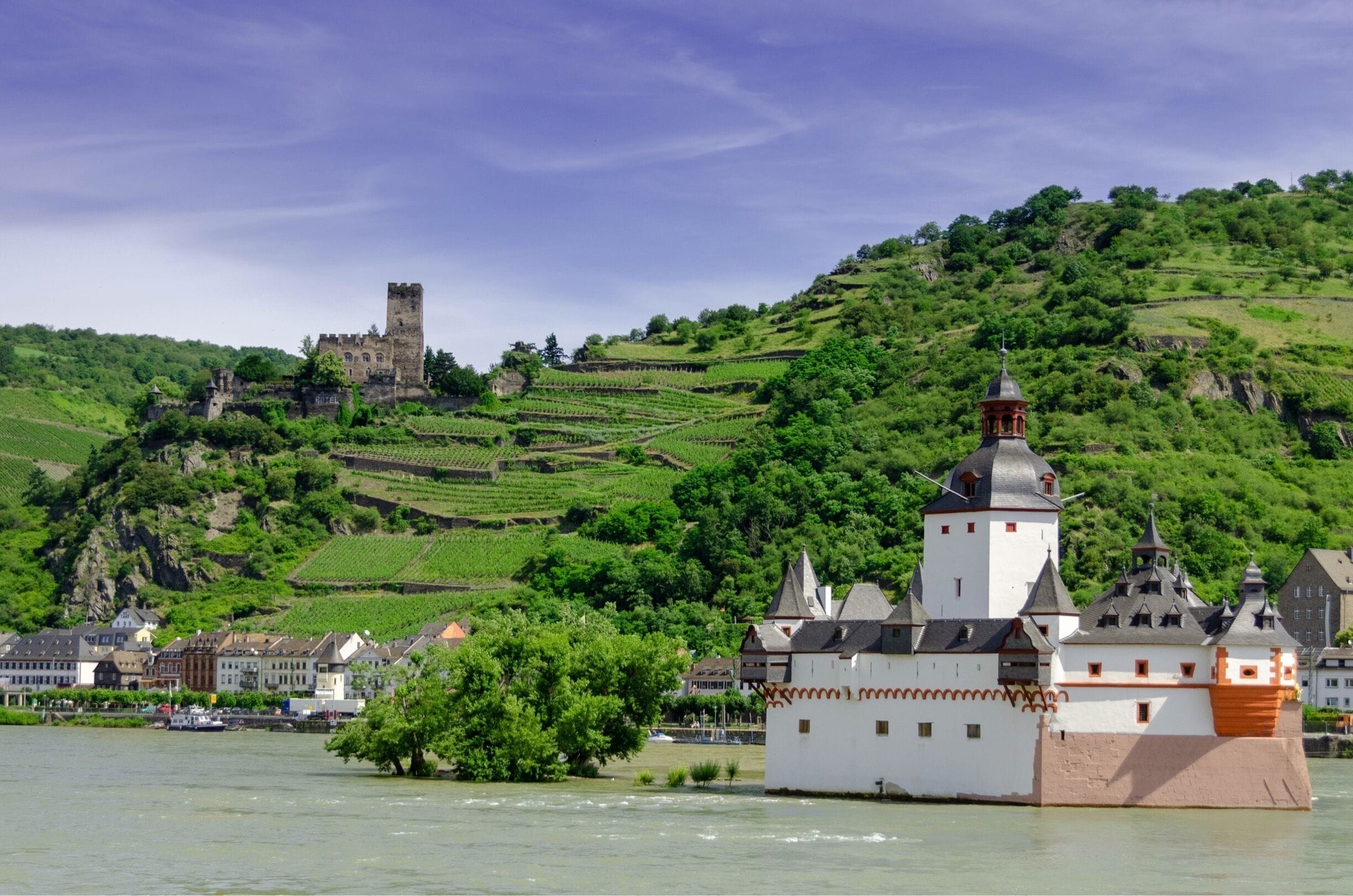 A castle on a hill, a river, and a town with buildings.