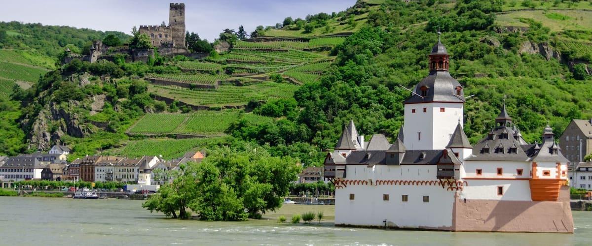 A castle on a hill, a river, and a town with buildings.