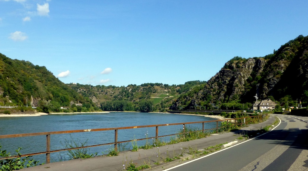 Rheintal bei Oberwesel