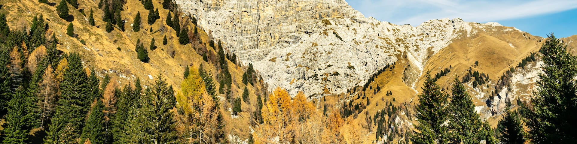 Panorama with blue sky, rocky mountains and tree-lined slopes. Sass de Mura and Monte Alvis. In the foreground table and wooden bench. Cesiomaggiore, Belluno, Italy