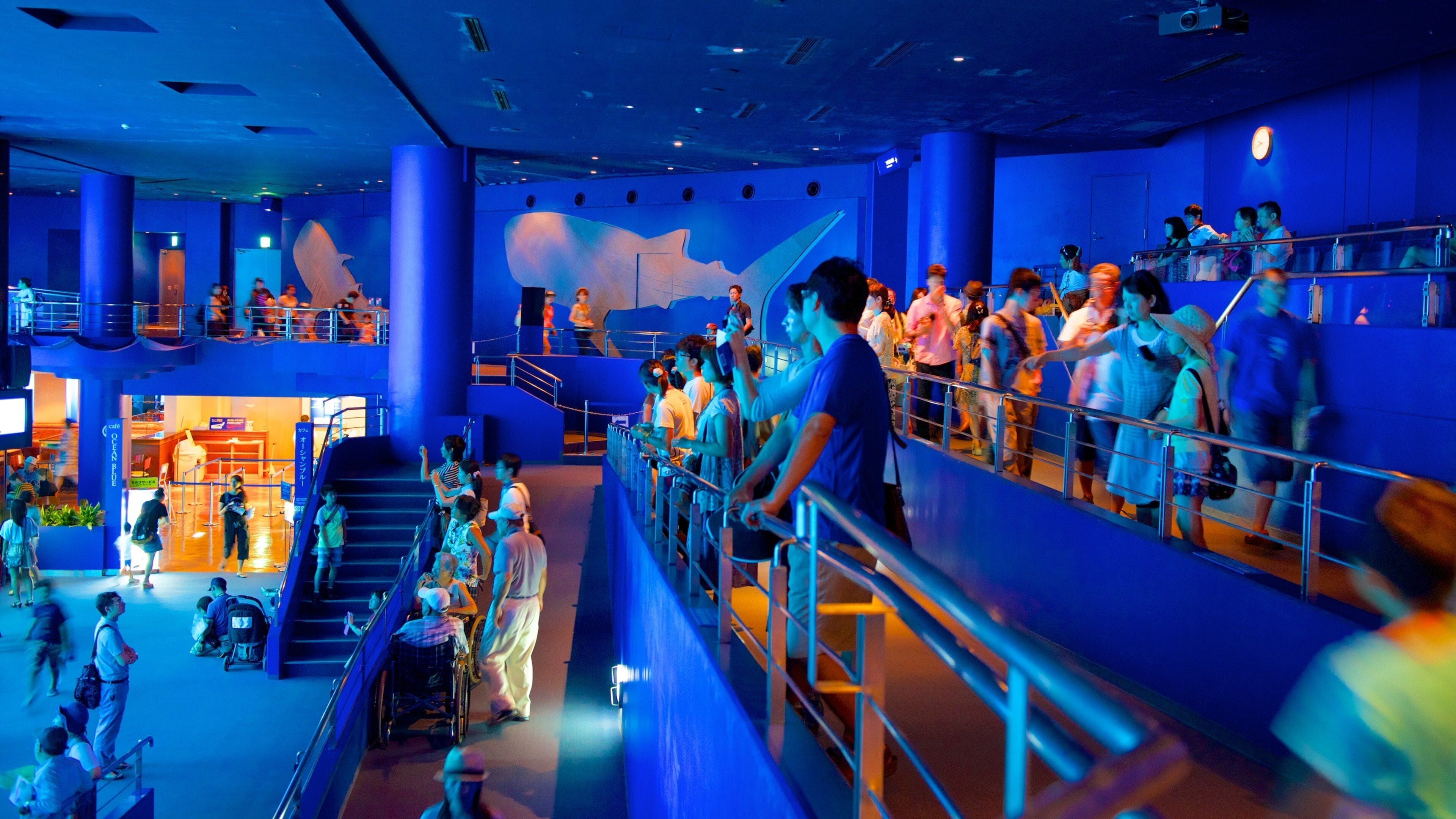 Okinawa Churaumi Aquarium showing interior views and marine life as well as a large group of people