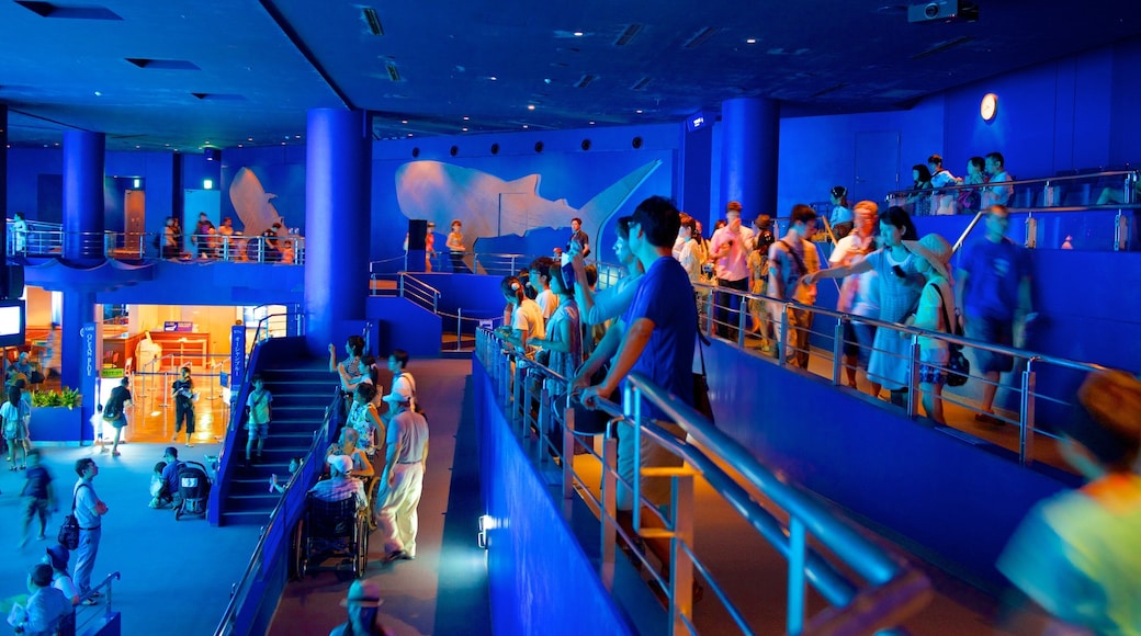 Okinawa Churaumi Aquarium showing interior views and marine life as well as a large group of people