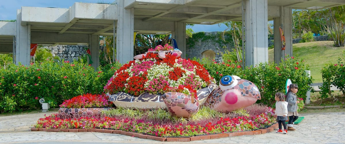 Okinawa Churaumi Aquarium which includes flowers, a park and outdoor art