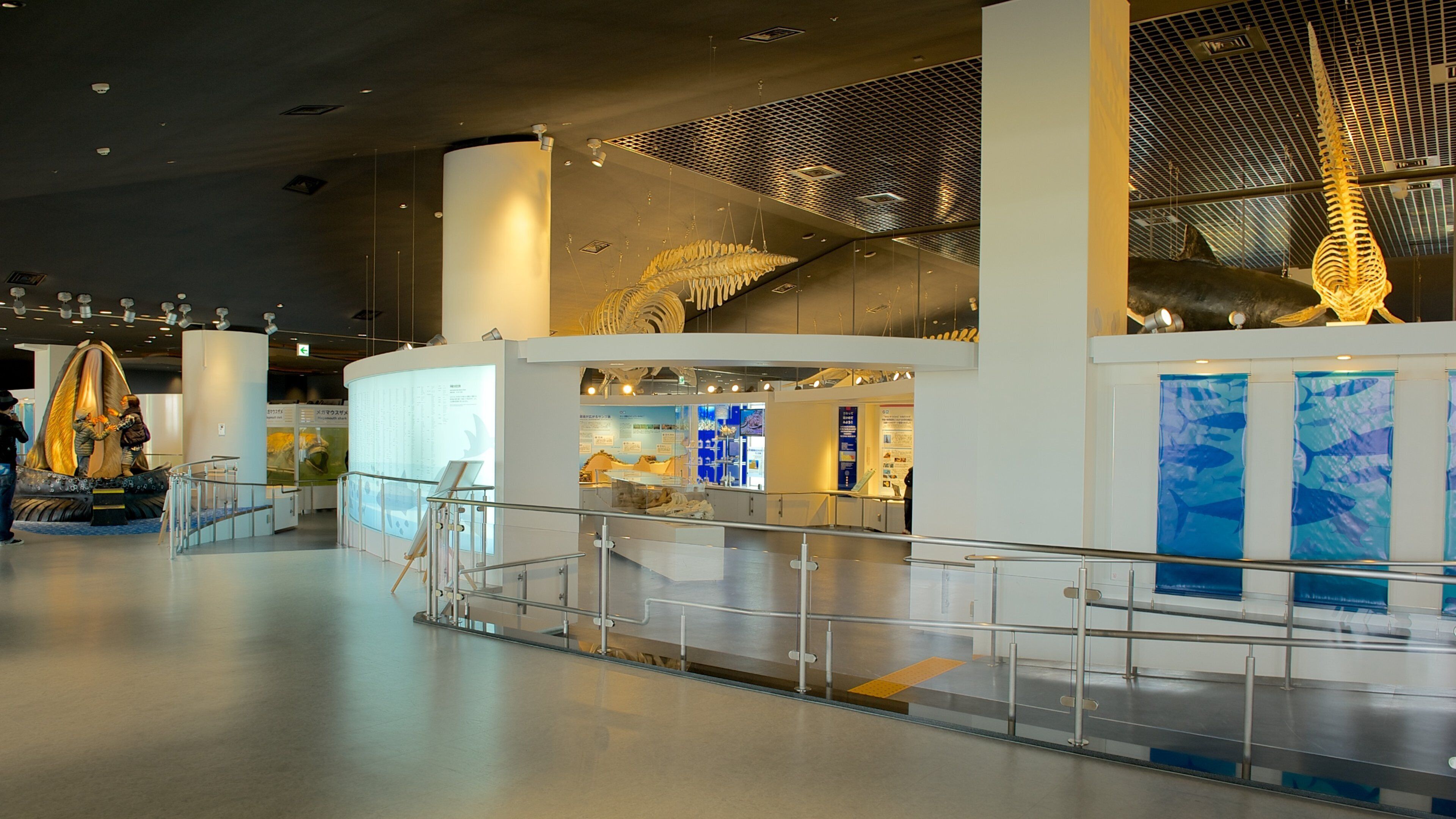 Okinawa Churaumi Aquarium showing interior views