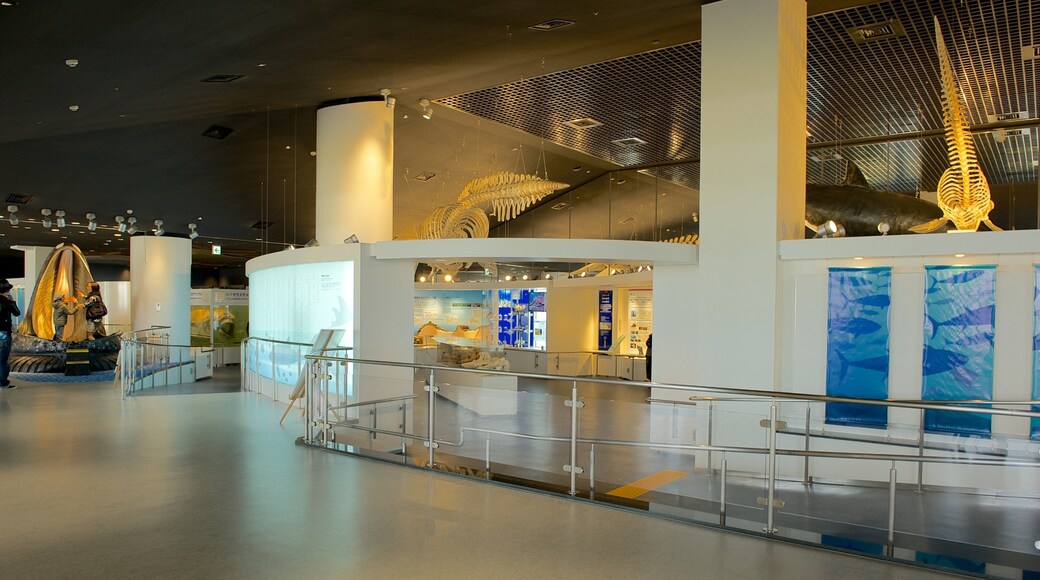 Okinawa Churaumi Aquarium showing interior views