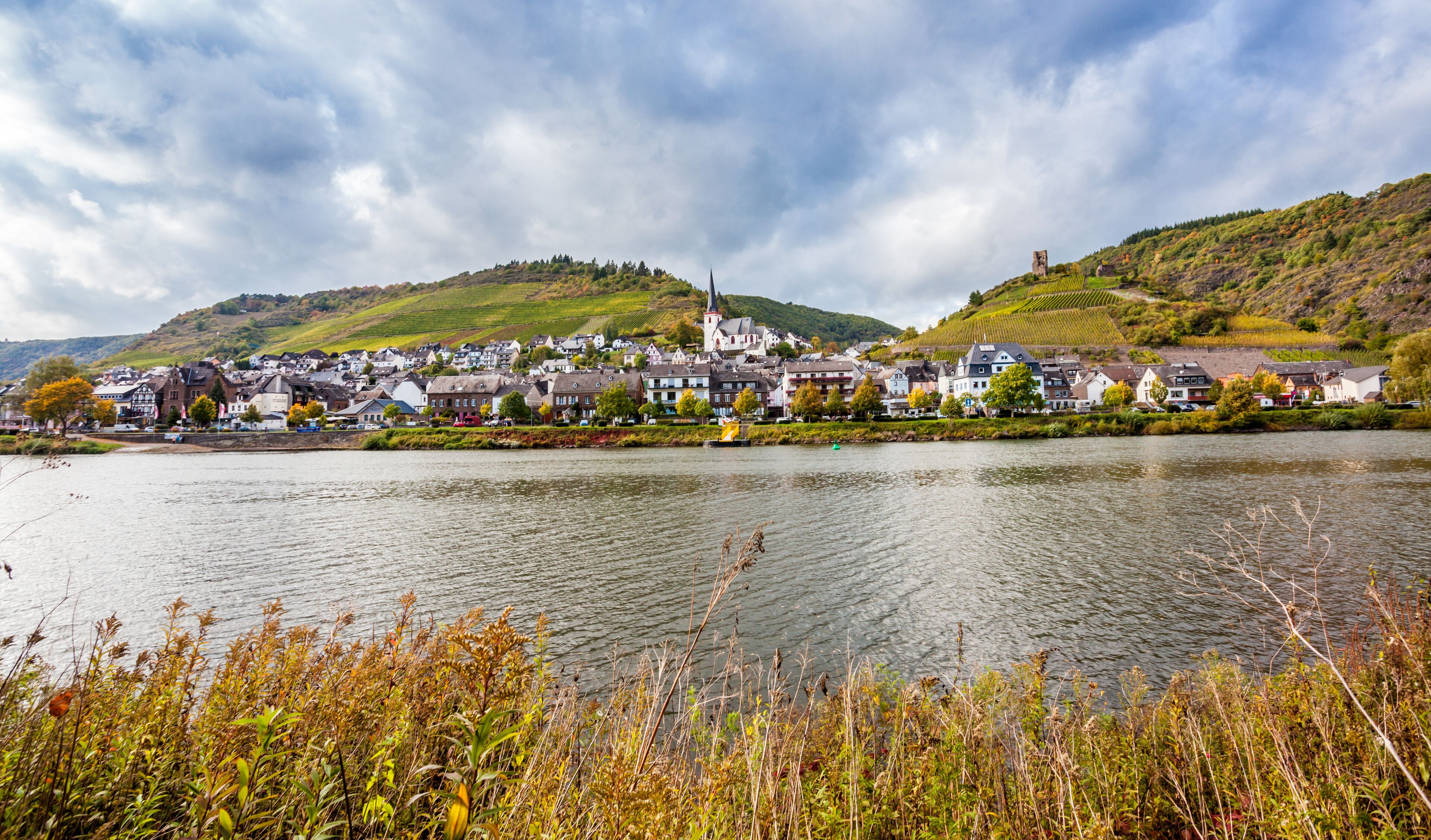 A riverside town with historic buildings, a church, and vineyards on rolling hills.