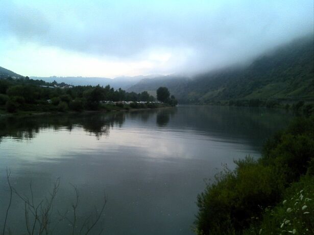 Looking toward Cochem on the Mosel