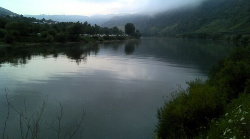 Looking toward Cochem on the Mosel