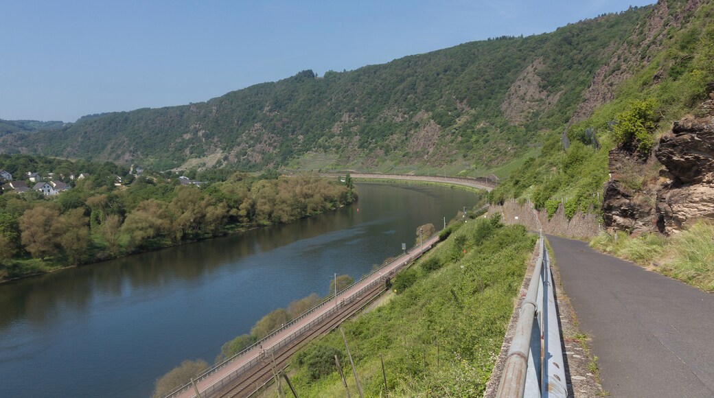 between Klotten and Cochem, the Moselle