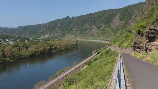 between Klotten and Cochem, the Moselle