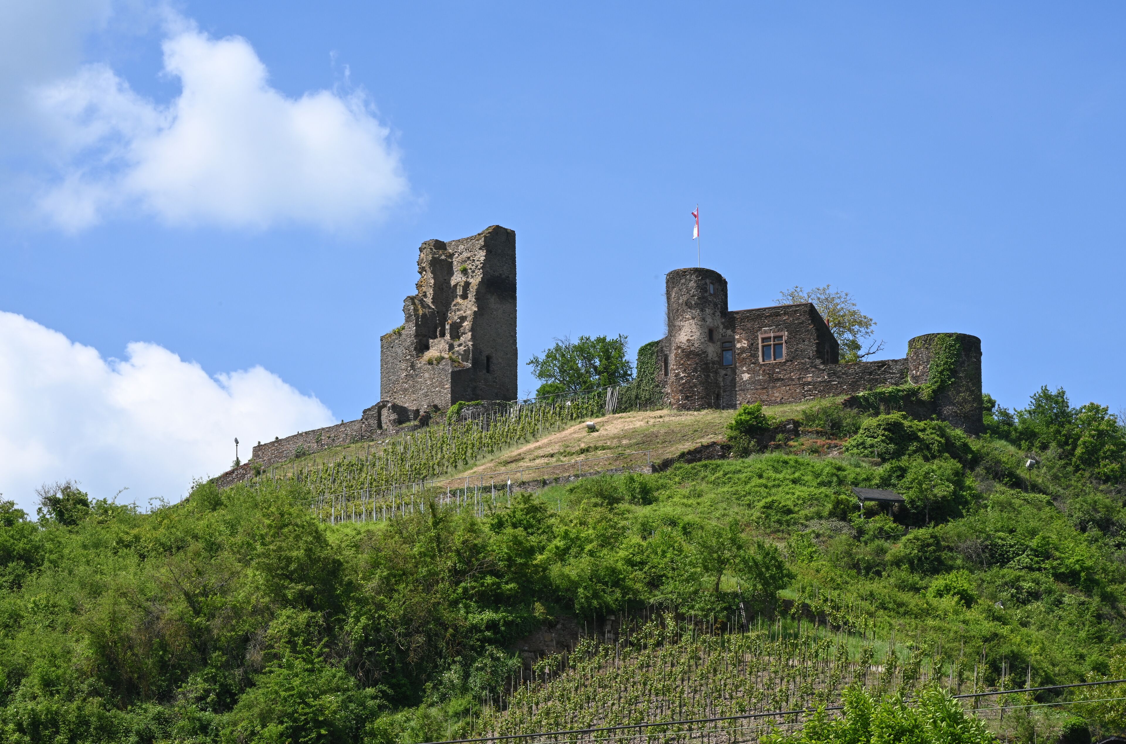 Burgruine Coraidelstein in Klotten an der Mosel